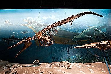 《腐烂国度3》Steam商店页上线 支持简体中文、首批截图